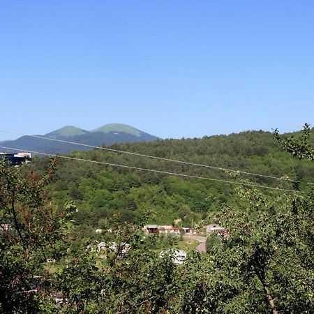 Dilijan Town Inn 외부 사진